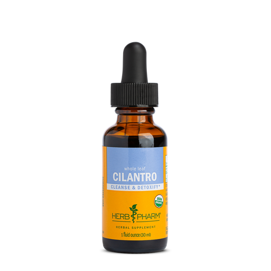 Cilantro Liquid Extract